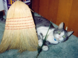 Morgue attacking, um, something