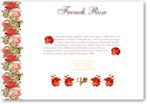 French Rose