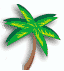Palm Tree