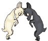 head butting kids