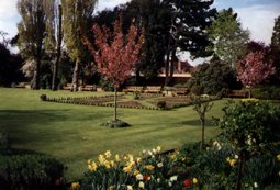 Hall's Croft Gardens