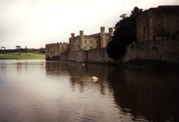 Swan at Leeds Castle