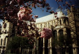 Canterbury Cathedral
