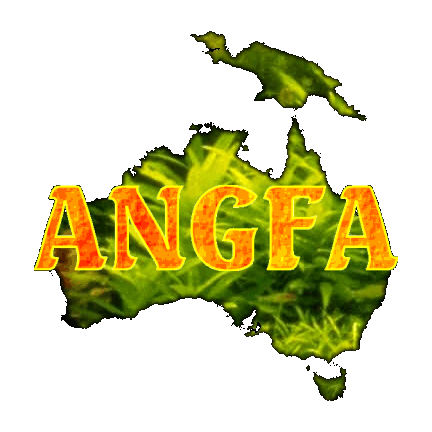 ANGFA