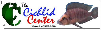 CICHLID CENTRE