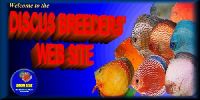 Discus Breeders' Web Site