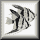 Cichlid Scene