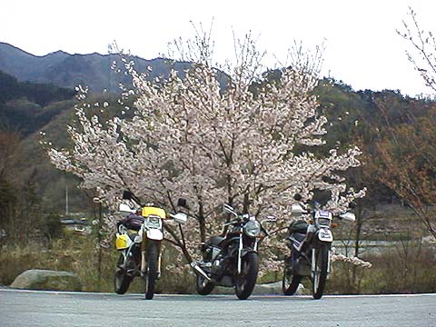 obN