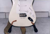 ddscloseup1.jpg (9541 bytes)