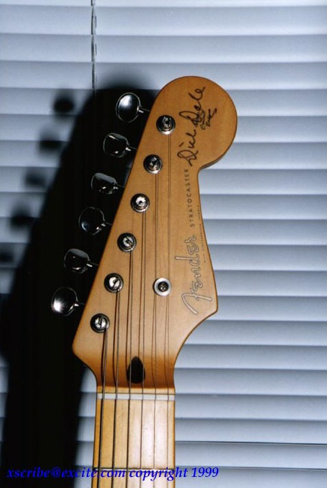 ddscloseup2.JPG (38194 bytes)