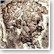 Ancient Greek and Roman Coins