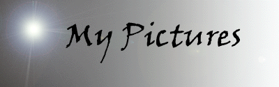 Picture Page