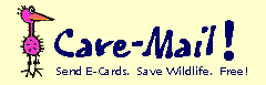 LOGO1.GIF