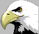 image_2.gif