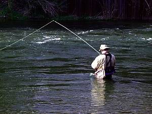 photo of fly fishing
