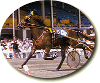 photo of trotter (racing)