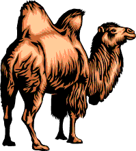 /user/camel1.gif