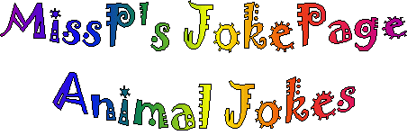 MissP's Animal Jokes