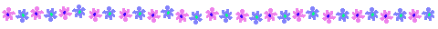 flowerline.gif (2156 bytes)