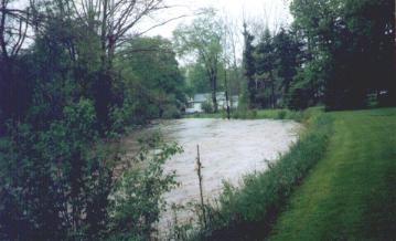 When My Yard Flooded