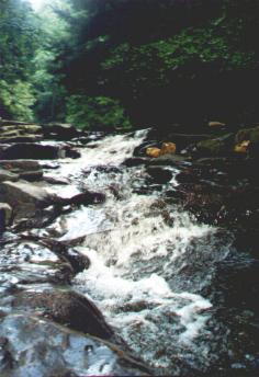 Linn Run State Park