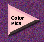 Color Photography