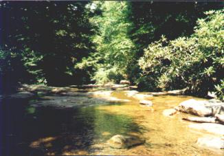 Linn Run State Park