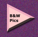 Black & White Photography