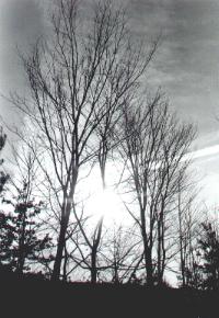 Sunset at My College