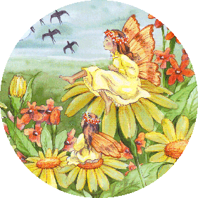 Fairy#7