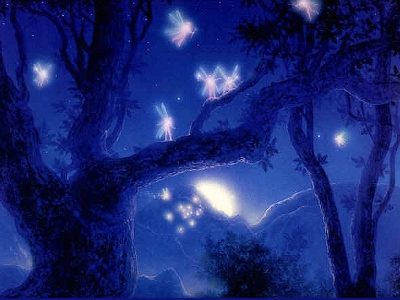 hidden in the quiet night