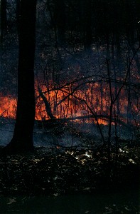 controlled burn