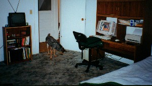 My bedroom