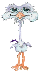 Exercising Ostrich