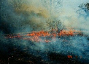 controlled burn