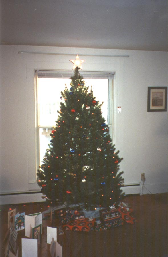 Christmas tree 1999