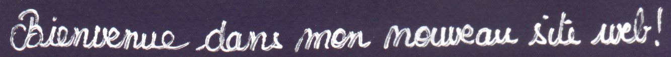 francaissite0.jpg (33296 octets)