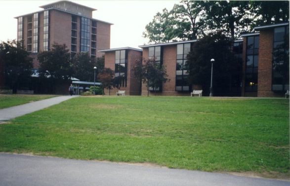 quad.jpg (37424 bytes)