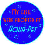 ADOPT YOURS TODAY!
