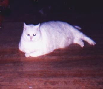 This is dearly departed Keeky girl 08-99
