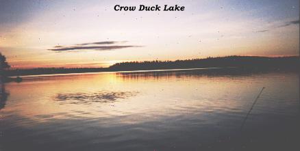 Lake Crow duck 97