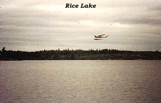 Rice Lake 89