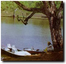 Yercaud Lake