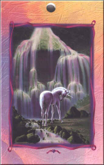 wonderla.jpg (21552 bytes)