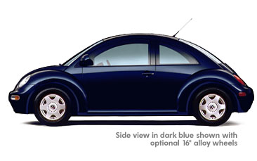 Bug, dark blue