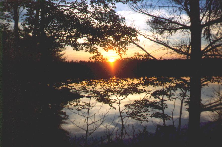 Gorgeous sunset!