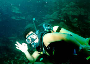 diving...