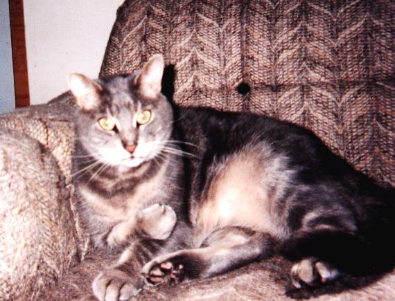 This is my dearly departed~ Puddy ~08-99