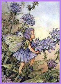 fae16.jpg (24061 bytes)