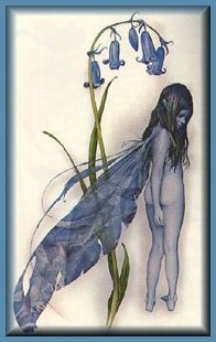 fpFaerie10.jpg (17427 bytes)